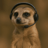 Meerkat Logo